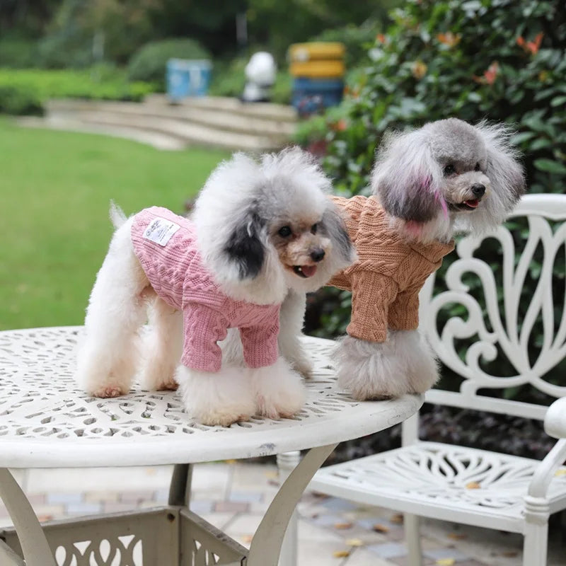 Pet Dog Clothes Winter Waterproof