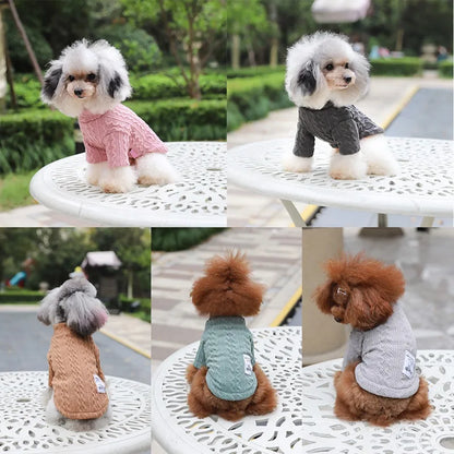 Pet Dog Clothes Winter Waterproof