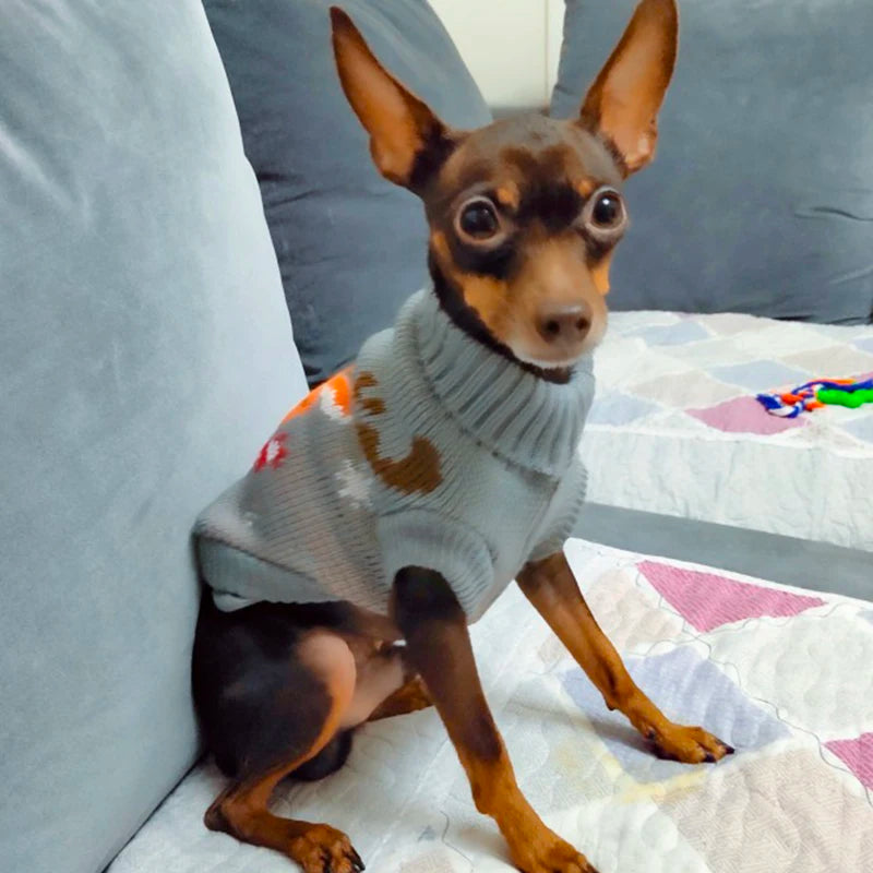 The CozyTail™ Cartoon Sweater