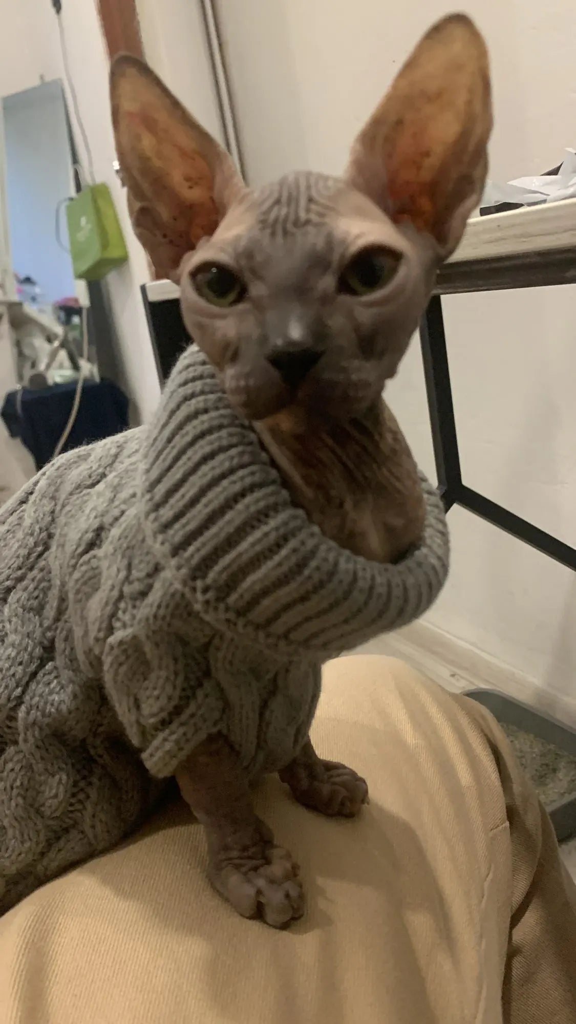 The KnitNest™ Wool Sweater