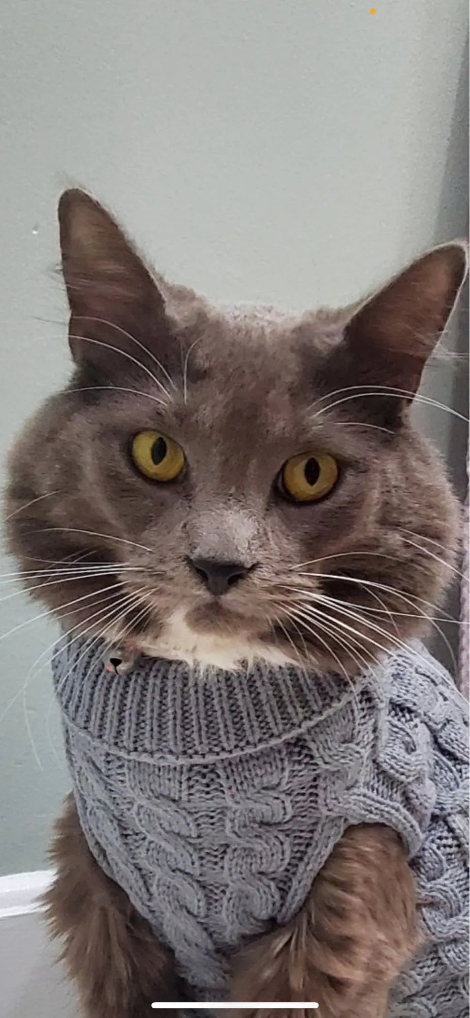 The KnitNest™ Wool Sweater