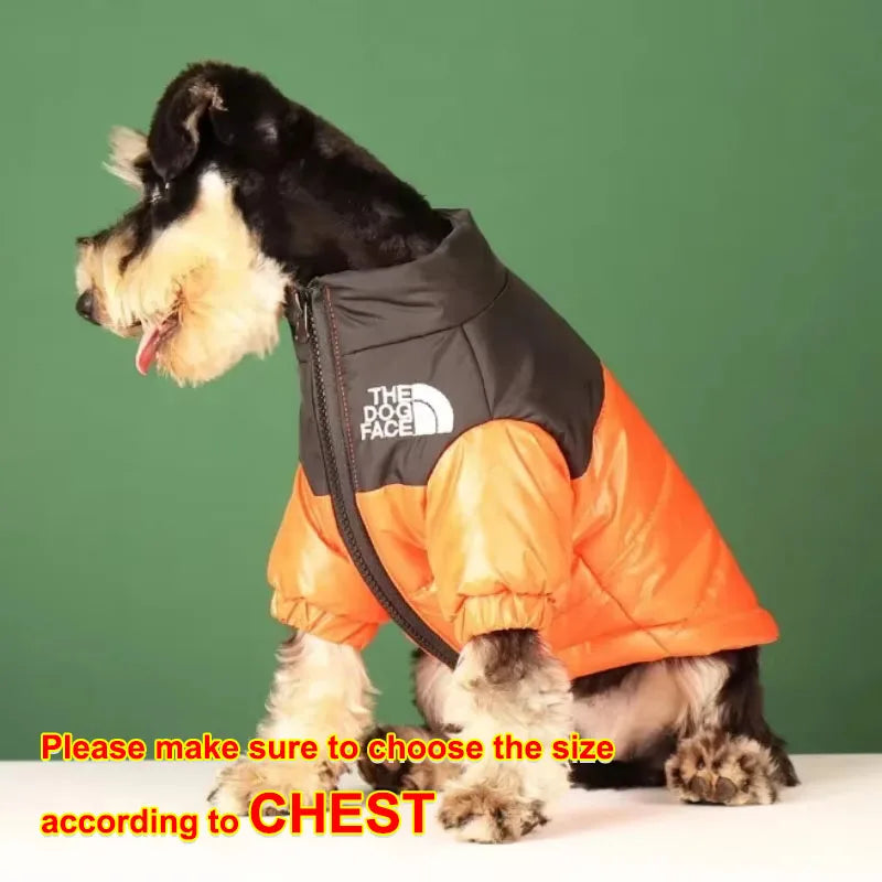 The ArcticPaw™ Down Parka