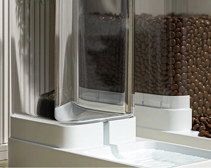 Automatic Cat Feeder & Water