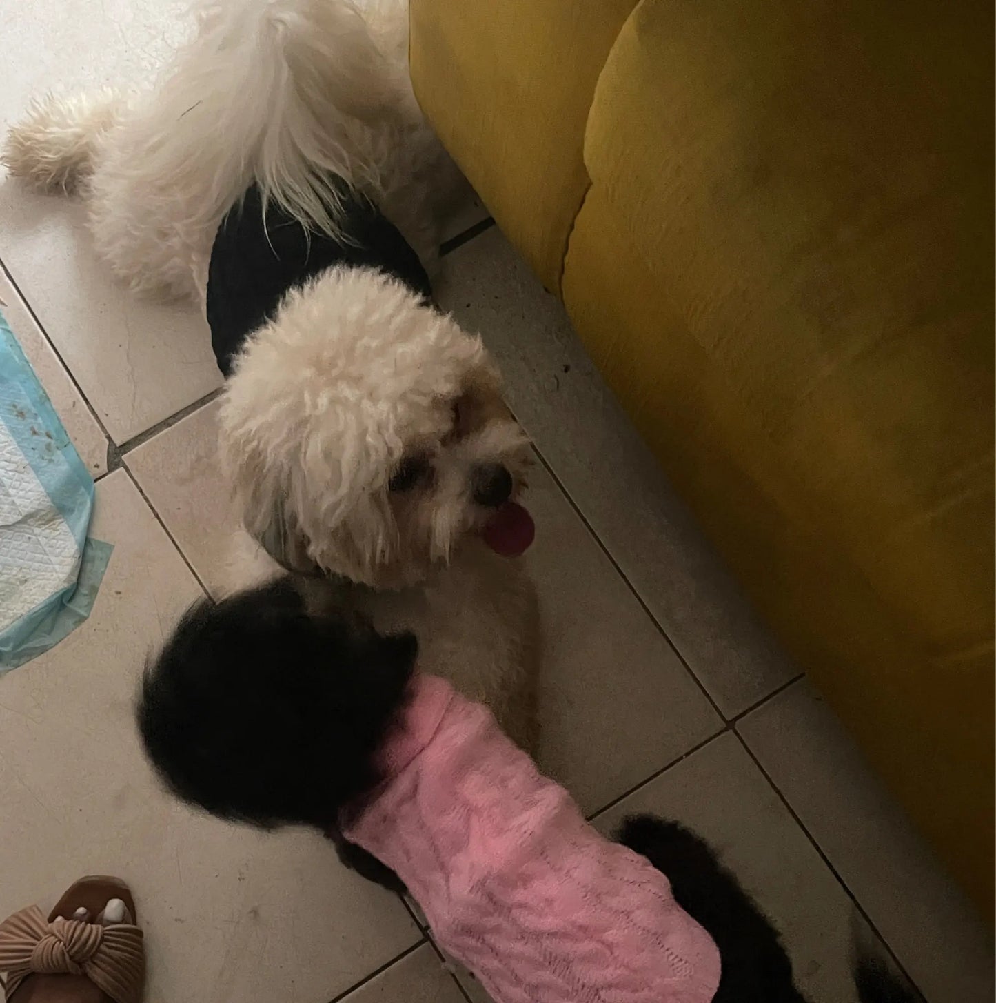 The KnitNest™ Wool Sweater