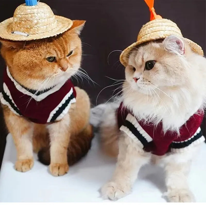 The PawVogue™ Knit Sweater