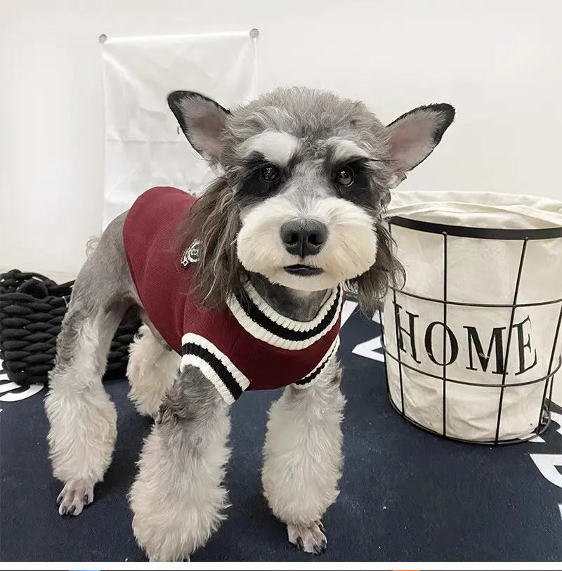 The PawVogue™ Knit Sweater