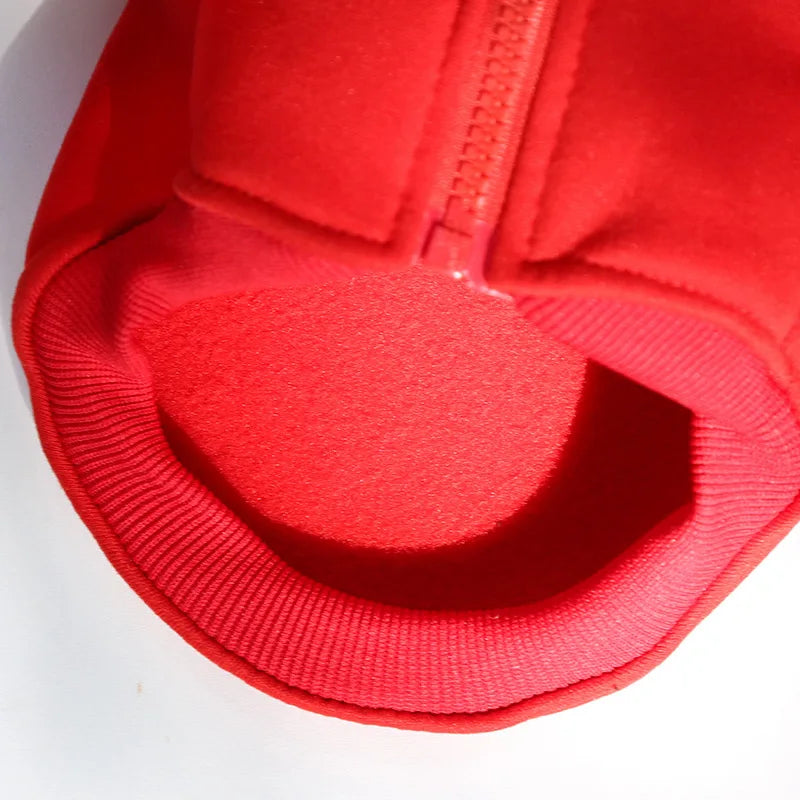 The PawLeague™ Baseball Jacket