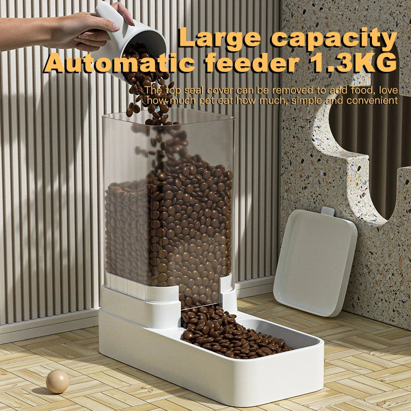 Automatic Cat Feeder & Water