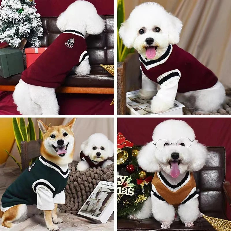 The PawVogue™ Knit Sweater