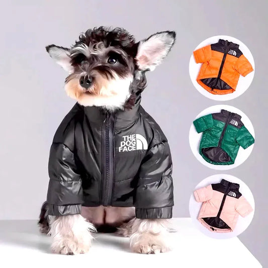 The ArcticPaw™ Down Parka