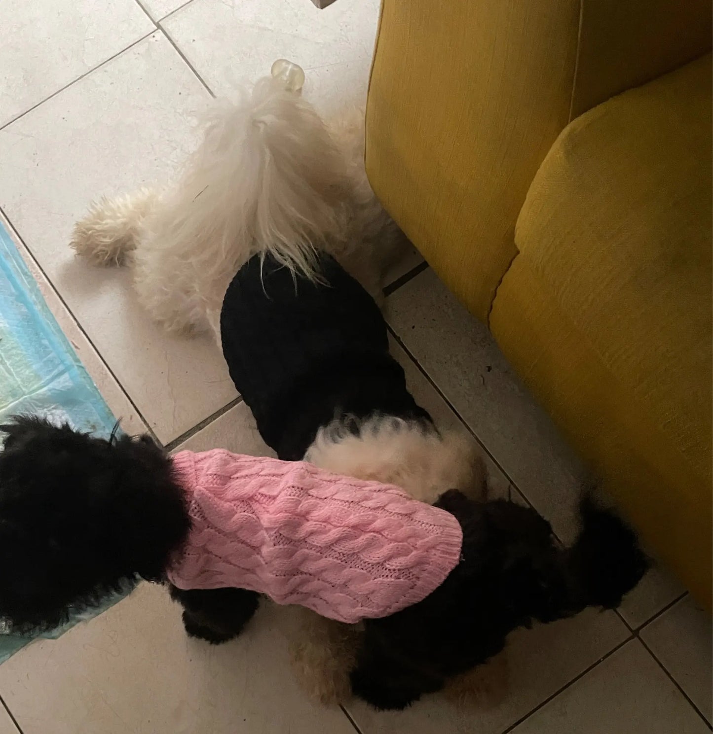 The KnitNest™ Wool Sweater