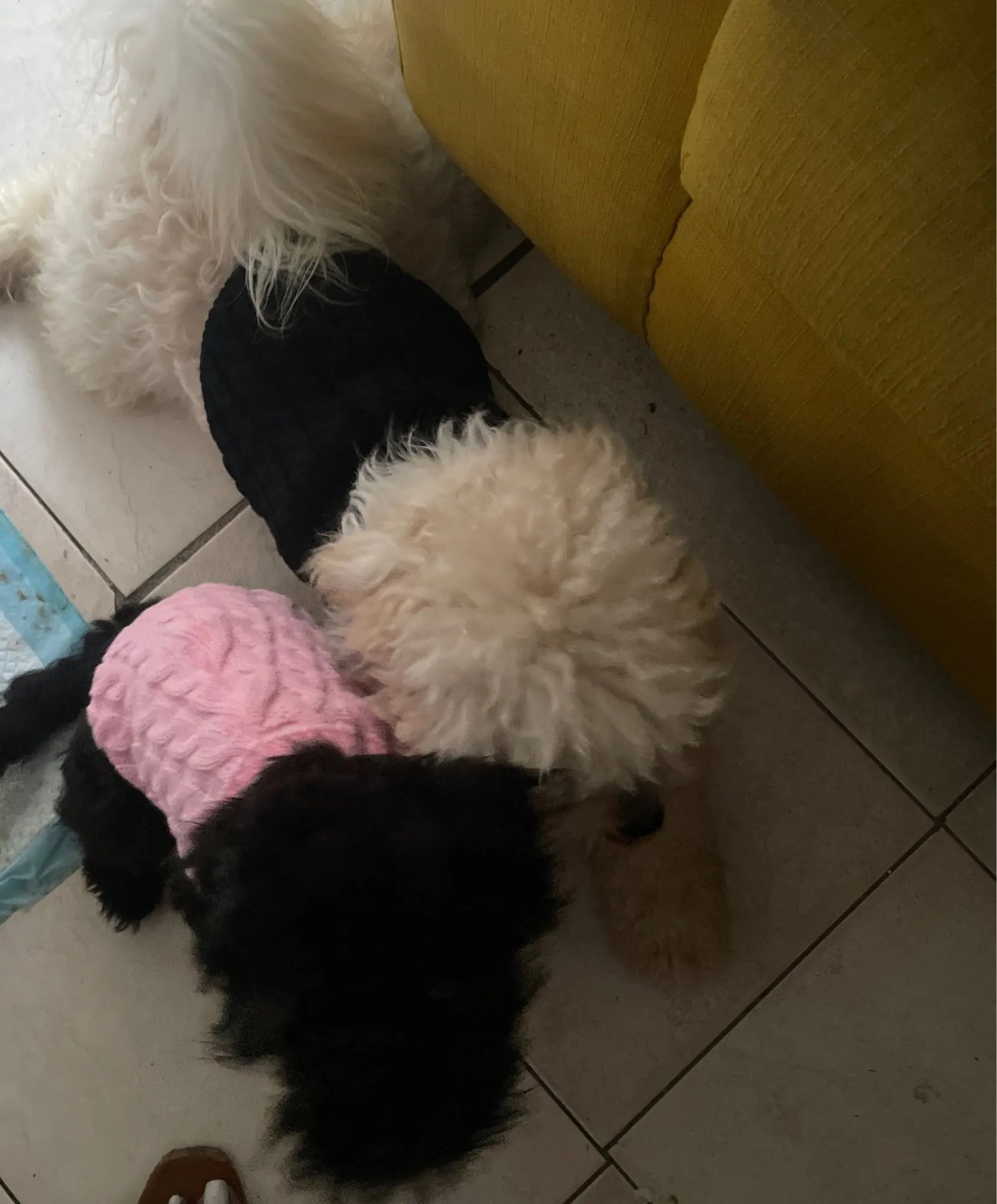 The KnitNest™ Wool Sweater