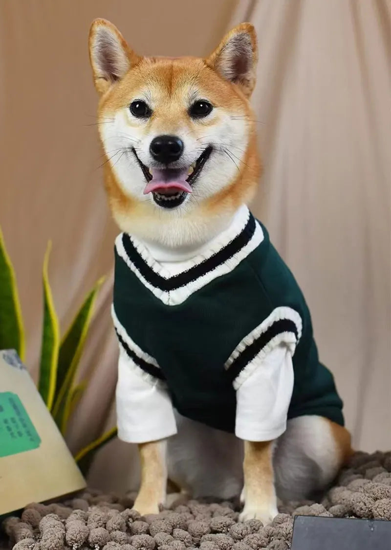 The PawVogue™ Knit Sweater