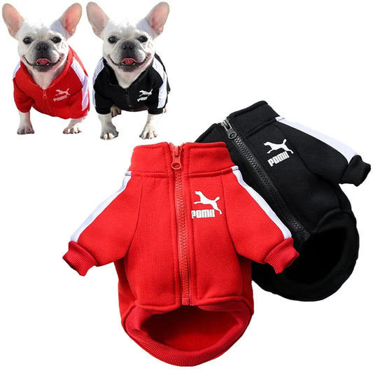 The PawLeague™ Baseball Jacket