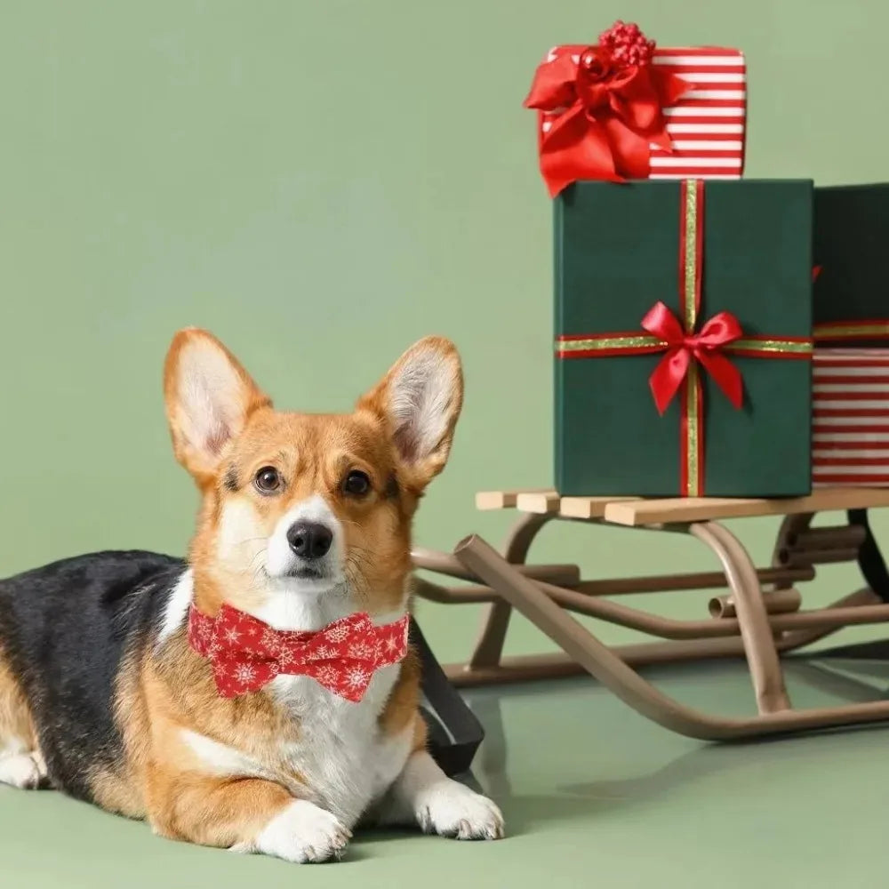 The FestiPaw™ Holiday Collar Set