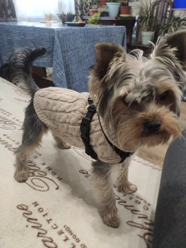 The KnitNest™ Wool Sweater