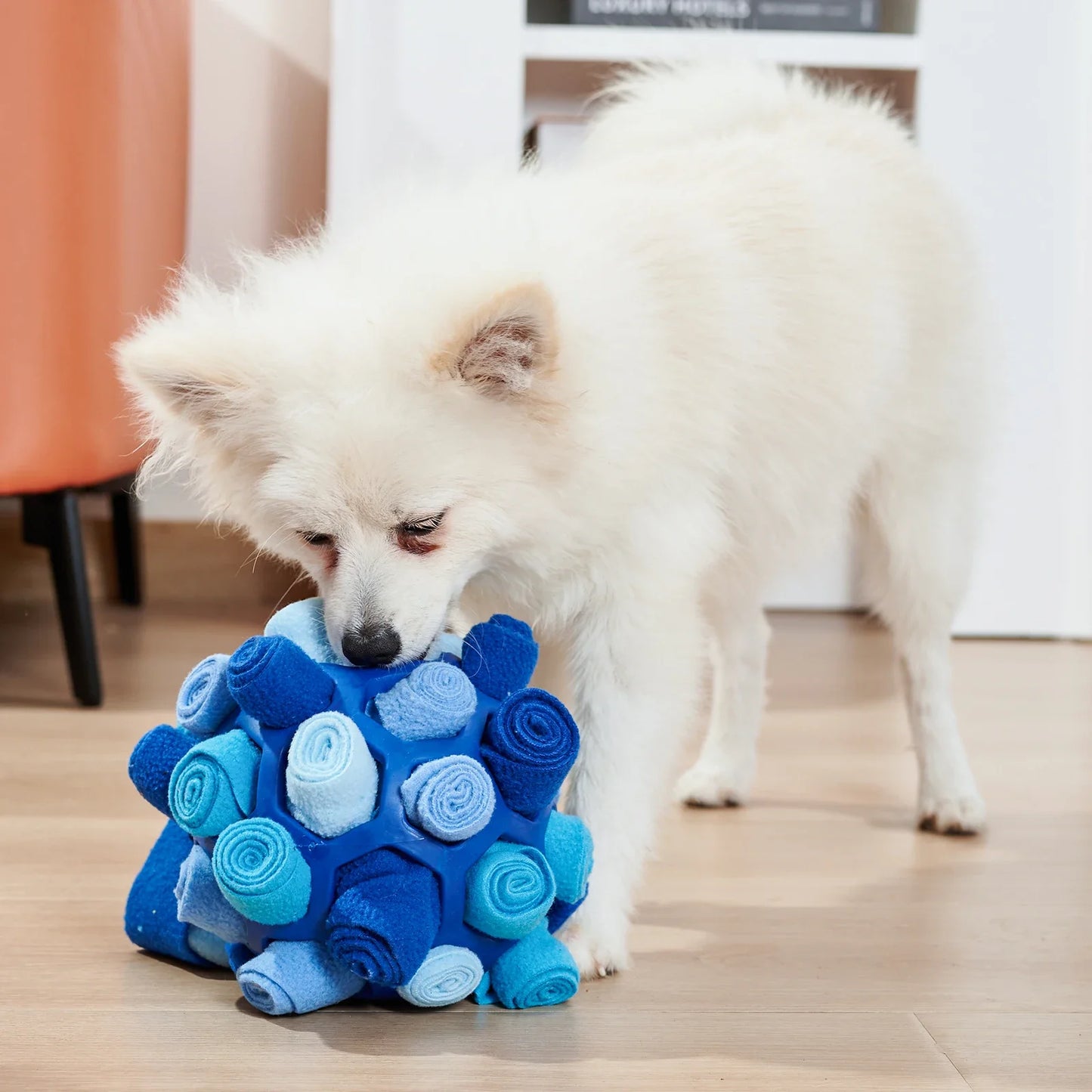 The SniffJoy™ Interactive Puzzle Ball