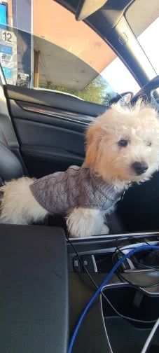 The KnitNest™ Wool Sweater